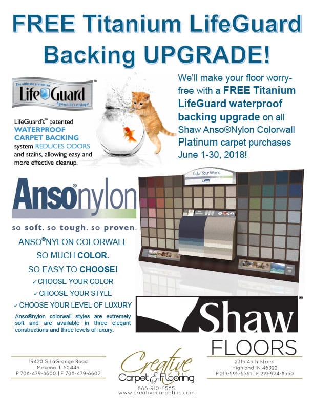 Shaw AnsoNylon Colorwall Sale Flyer