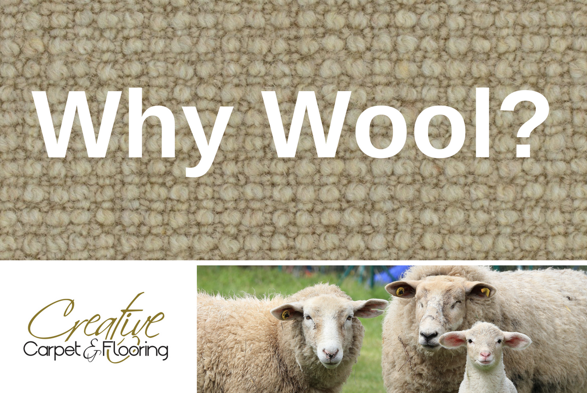 Thumbnail - Wool carpeting at Creative Carpet & Flooring in Mokena and Highland