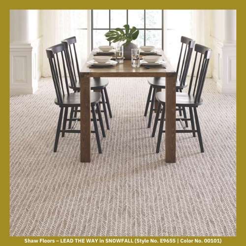 Shaw Floors – LEAD THE WAY in SNOWFALL (Style No. E9655 | Color No. 00101)