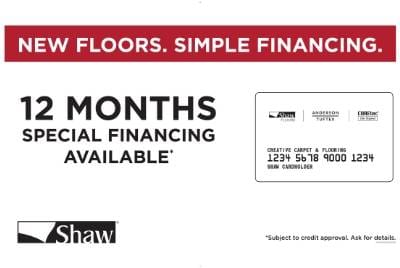 12 Months Special Financing