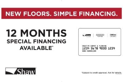 12 Months Special Financing 12 Months Special Financing
