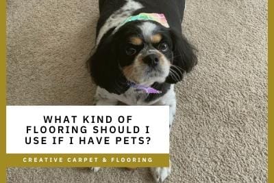 What Kind Of Flooring Should I Use If I Have Pets Creative Carpet