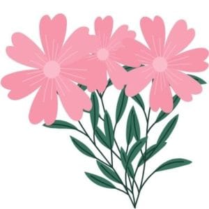 Put a little SPRING in your step! | Creative Carpet & Flooring Put a little SPRING in your step! | Creative Carpet & Flooring