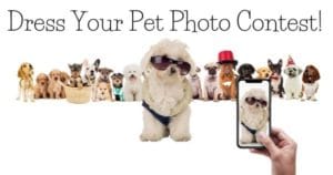 Dress Your Pet Photo Contest