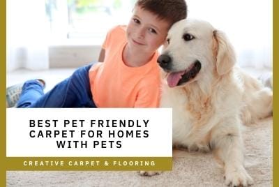 Thumbnail - pet friendly carpet