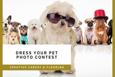 Thumbnail - Dress Your Pet Photo Contest