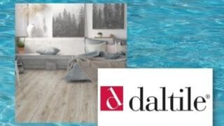 Daltile Reminiscent Colorbody Porcelain