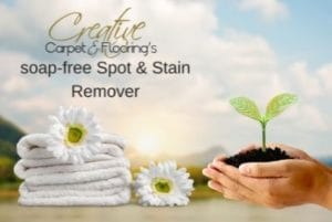 Spot & Stain Remover