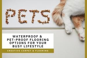 Thumbnail - pet-proof flooring options