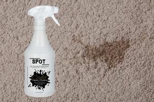 Carpet care and cleaning
