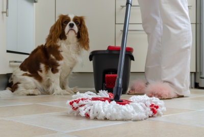 waterproof flooring