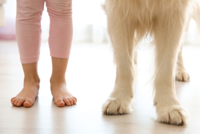 FIND THE BEST FLOORING FOR DOGS, CATS AND ALL PETS.