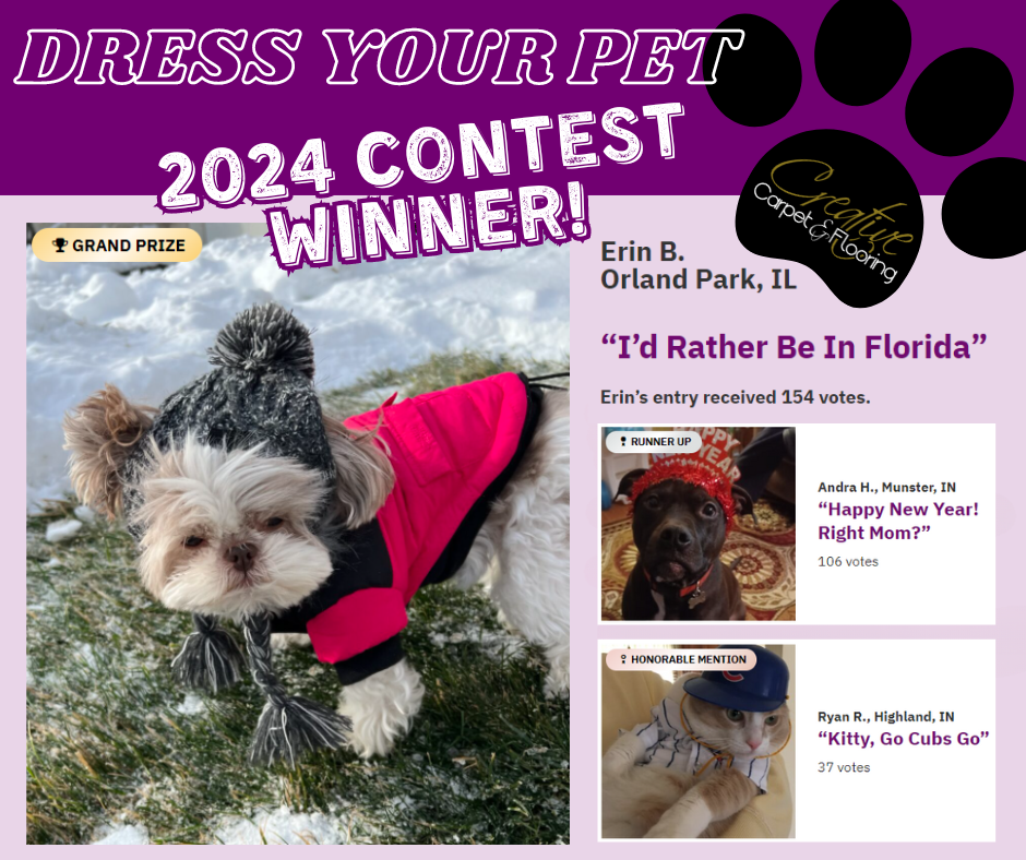 2024 Dress Your Pet Contest WINNER