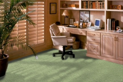 Shaw Floors - Kid Crazy in Limeade