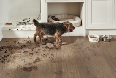 Expert Tips for Choosing the Right Flooring