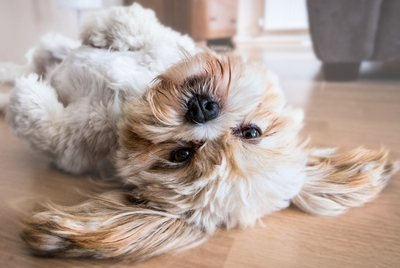Durability - Best flooring for Mokena families