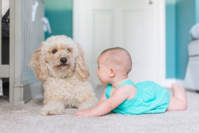 Pet and child on stain-resistant carpet in family nursery