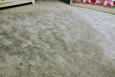 Frayed and worn carpet showing signs of age