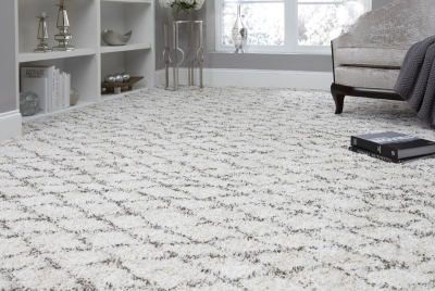 best family-friendly carpet - Frieze Carpet - Stanton's Shaggy Kasbah in Sel De Mer