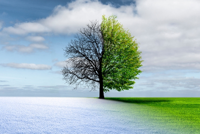 How Extreme Temperatures Affect Your Flooring