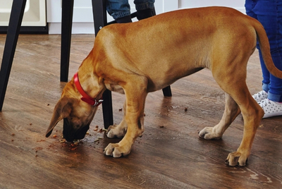 Mid-Range Floors That Balance Price and Performance Mid-Range Floors That Balance Price and Performance