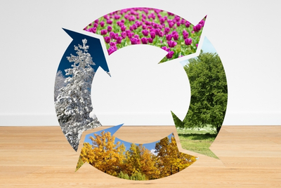 How Does Climate Affect Durable Flooring in Northwest Indiana