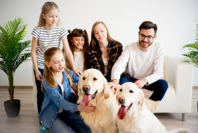 How Do I Start My Pet-Proof Flooring Upgrade in Mokena or Highland How Do I Start My Pet-Proof Flooring Upgrade in Mokena or Highland
