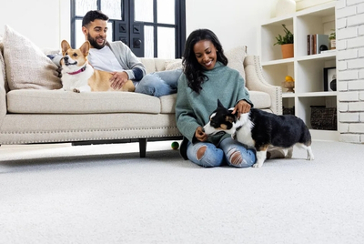 Shaw Floors Intricate Trace in River Birch Should You Still Consider Carpet with Pets