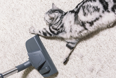 Myth 1_ Is Carpet Bad for People With Allergies Myth 1_ Is Carpet Bad for People With Allergies