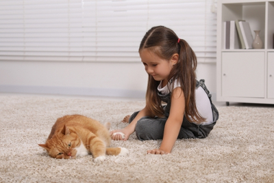 Myth 2_ Does Carpet Always Look Dirty and Worn Out Fast Myth 2_ Does Carpet Always Look Dirty and Worn Out Fast