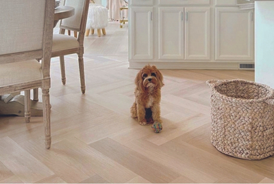 What Pet-Friendly Flooring Handles Accidents Best What Pet-Friendly Flooring Handles Accidents Best