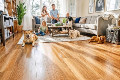 Carpet or Luxury Vinyl_ Which Is Better for a Family Room Carpet or Luxury Vinyl_ Which Is Better for a Family Room