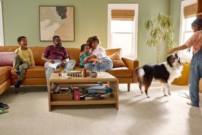 Shaw Floors - Tailored Craft When Does Carpet Make More Sense in a Family Room